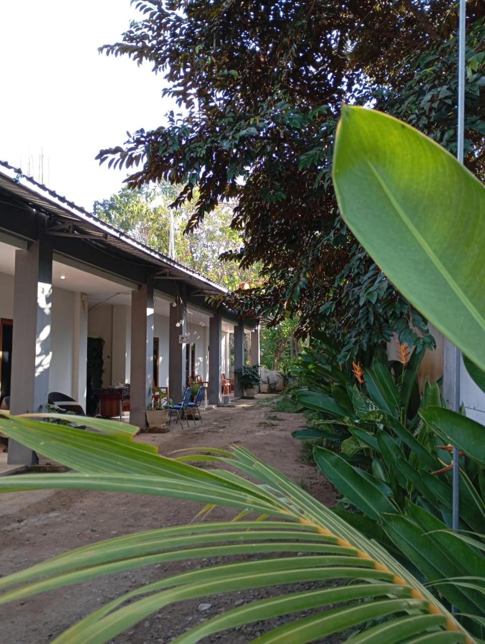 Wl Guesthouse Labuan Bajo Zewnętrze zdjęcie