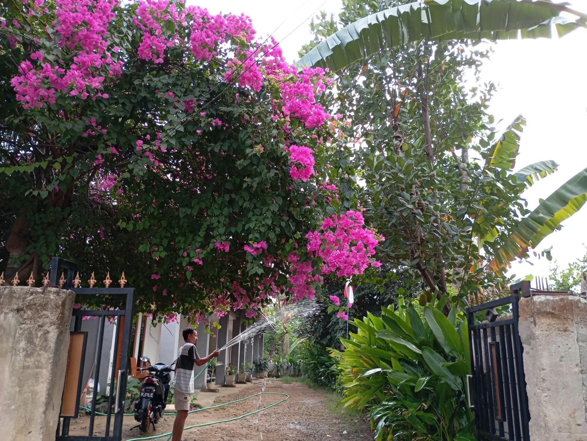 Wl Guesthouse Labuan Bajo Zewnętrze zdjęcie