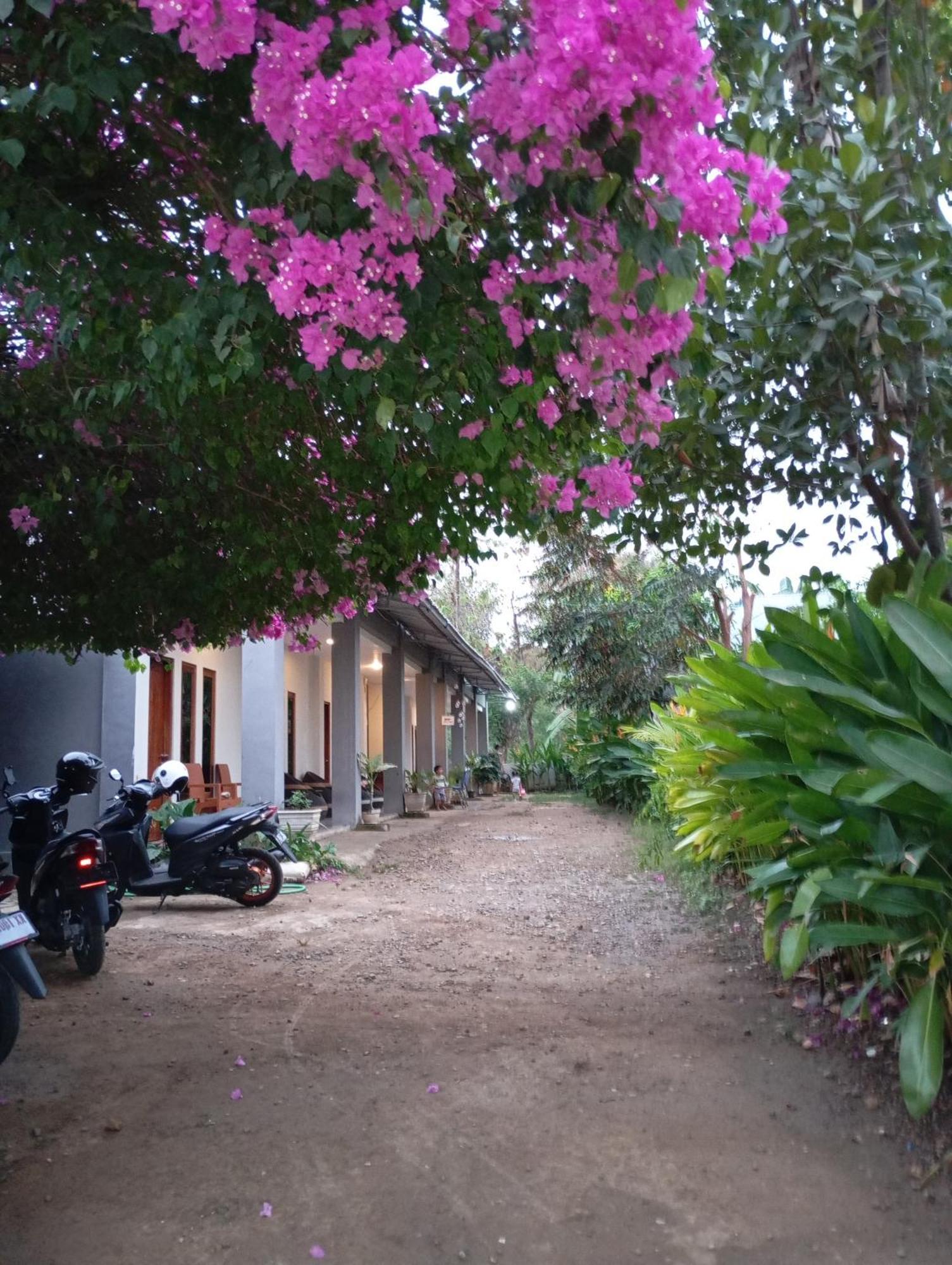 Wl Guesthouse Labuan Bajo Zewnętrze zdjęcie