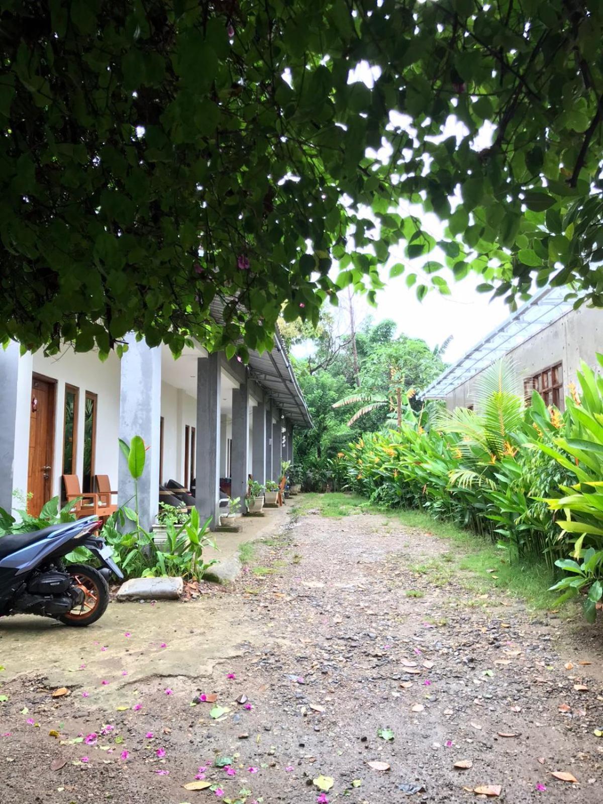 Wl Guesthouse Labuan Bajo Zewnętrze zdjęcie
